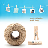 250pcs Wood Wooden Clothespins 1 Inch Wooden Craft Wooden Clip Peg Mini Size Small Clips Mini Wooden Clothespins Home Wall Decor