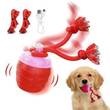New Engaging Pet Entertainment Ball Toy Suitable for Dog and Various Occasion
