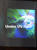 Portable Mini Ultraviolet Flashlight Portable UV Test Light for UV Invisible Ink Identification Jade Jawelry Appraisal