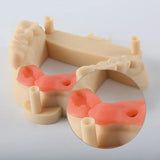 Elastic Dental Model Resin | 405nm UV Curing | Compatible with Elegoo/Anycubic | 3D Printing for Dental Casting