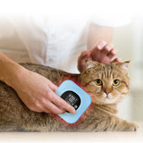 Pet Health Care Laser Therapy Pet Products Therapies Equipments