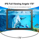10inch 1024x768 IPS LCD Monitor With Black Metal Case VGA AV BNC Input Port