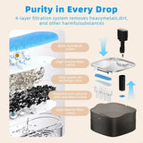 New Flows USB Powered Pet Water Fountain Cats in Transparent Black Large Capacity Quiet Easy to Design Water