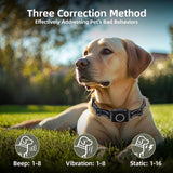 New multifunctional dog training and barking collar dual-phase communication display dog status Remote dog training Collar