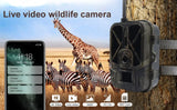 HC940PRO-Li Hunting Camera, 36MP, 4K, Photo Traps, 10000mAh Li-Battery, App Control, Cloud Service for Wildlife Monitoring