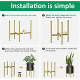 New Strong Iron Plant Support for Orchidaceae Succulents Meddle Needle Numerals Highlighting Mediaeval Charm Enhances Home