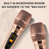 2025 Chenisok Latest 19.5 4 In1 2T Professional Portable Karaoke Player Durable Using Karaoke Machine Home Theater KTV System