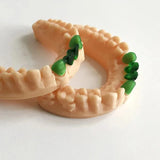 Elastic Dental Model Resin | 405nm UV Curing | Compatible with Elegoo/Anycubic | 3D Printing for Dental Casting