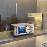 High Sensitivity Desktop TEF6686 Radio Digital FM/AM Radio Built-in Lithium Battery And AM Antenna