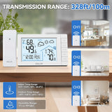 Baldr Wireless Weather Station Digital DCF Wall Table Atomic Alarm Clock Hygrometer Thermometer Frost Alert Forecast Sensor -40C
