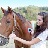 Pet Health Care Laser Therapy Pet Products Therapies Equipments