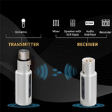 2.4G Wireless System Wireless XLR Transmitter Receiver One To Two Dynamic Microphone High Quality Sound Quality