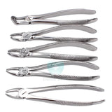 Hot Selling Tooth Extracting Forceps Premium Export Quality ‘lab Instruments Adult Tooth Extractings Heavy Duty Forceps