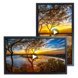 18.5inch 1920x1080 IPS Advertising LCD Monitor USB Port Auto Play Video