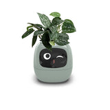 Tuya Smart Pet Planter Robot Adorable Plant Companion Smart Planter 7 Smart Sensors Time/Date/Luminance/Moisture Display Planter