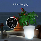 Outdoor Solar Garden Flowerpot Light Night Automatic Lighting Lawn Light 4LED Courtyard Light Waterproof Solar Lamp
