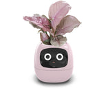 Tuya Smart Pet Planter Robot Adorable Plant Companion Smart Planter 7 Smart Sensors Time/Date/Luminance/Moisture Display Planter