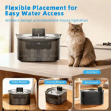 New Flows USB Powered Pet Water Fountain Cats in Transparent Black Large Capacity Quiet Easy to Design Water