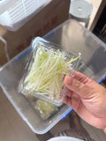 2.3mm Electric Shredded Home Appliance Green onions Ginger Silk Cutter Shredder Cutting Machine Scallion Chopper Spring Onion
