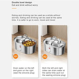 *BAAY US Plug, Cat Water Fountain, Stainless Steel Pet Water Fountain, 3L Capacity, Double Bowl Feeder, Easy Cleaning for Pets