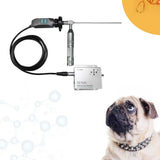 All-in-One USB Portable Endoscope - Flexible Borescope with Adjustable Light, for Industrial & Medical Diagnostics