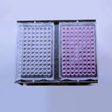 MM-1 Microplate Oscillator Shaker AC 220V Lab Orbital Mixer for Microplates 96-Well Plate Shaker with Timer & Speed Control