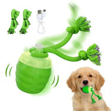 New Engaging Pet Entertainment Ball Toy Suitable for Dog and Various Occasion