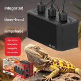 New Amphibians Terrariums Lighting Metal Construction Day/Night Cycle Control For Reptiles Health