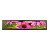 24inch 1920x360 Bar LCD Monitor With USB Port Iamge Rotate and USB Play Video