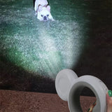 Factory Custom Dog Leash New Design Pet Leash Cool Luminous LED Lights Pet Colored Lantern Dog Rope
