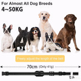 H769 2 Dog Remote Shock Training Collar Rechargeable Waterproof LCD Display Pet Trainer