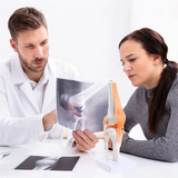 Improved Anatomical Knee Joint with Ligaments Model, Human 1:1 Life Size B