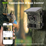 BSTCAM 4K WiFI 60MP Solar Powered Night Vision Infrared Photo Traps Waterproof Trail Camera for Wildlife Monitoring Hunting