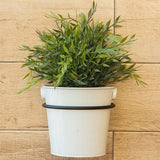 Plant Holder Ring Plant Wall Mount Flower Pot Holder Ring Metal Wall Mounted Plant Hanger for Indoor Plant Flowers Brackets