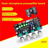 DC8-36V AMP Microphone Preamplifier Fever Karaoke Reverb Board Microphone Karaoke Singing Anti-Howling