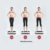 Factory Direct Home Fitness Equipment Full-Body Slimming Vibration Plate Machine Vertical Direction Oscillating Plate Oscillator