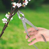 210mm 8 inch Garden Branch Cutter Forged Steel Round Beginner Scissors Cutter Knife Bonsai Tools Garden Tree Cutter