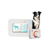 Veterinary Xray Machine Xray Machine Medical Small Size X-ray for Pet