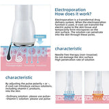 Professional Sliming Dcool Portable Cool Hot EMS For Skin Tightening Anti Puffiness Facial Electroporation Machine Beauty Device