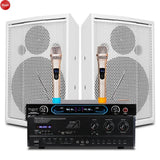 K8 Factory Price 8 Inch Wooden Speakers Wireless Mic Sound Equipment With Amplifier Portable Speakers
