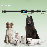 3000 FT Dog Training  Collar Rechargeable Remote Shock PET Waterproof Trainer