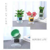 Seedlings Planting Pots Seedling Nursery Pots For Plants Nursery Plant Seedling Starting Pots Plants Flower Pots For Succulents