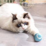 Self Rolling Ball For Cats 360 Self-Rotating Electric Ball With LED Light Pet Accessories For Exercise And Training Of Cats