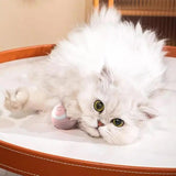 Self Rolling Ball For Cats 360 Self-Rotating Electric Ball With LED Light Pet Accessories For Exercise And Training Of Cats