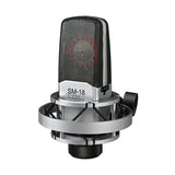 Takstart SM-18 PRO professional recording microphone with 3 selectable pickup patterns for personal/instrument recording