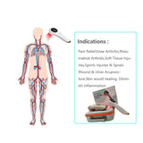 Handheld Cold Laser Therapy Device for Dog Pain Relief Spinal Adhesions Portable Veterinary Use 650nm/808nm Low Level Laser