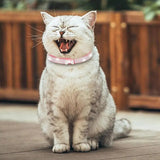 Shiny Super Diamond Rhinestone Cat Collar Puppy Baby Dog Cat Collar Microfiber Strap Kitten Accessories Puppy Collar