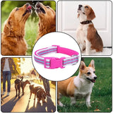 Small Dog Collar Adjustable Dog Collar With Safety Buckle Pet Supplies For Dogs Pet Collar With Metal D Buckle For Small Dogs