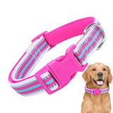 Small Dog Collar Adjustable Dog Collar With Safety Buckle Pet Supplies For Dogs Pet Collar With Metal D Buckle For Small Dogs