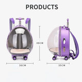 Space Capsule Cats Bag Shoulder Transparent Outgoing Suitcase Cat Carrier Kawaii Stroller Mochila Para Perro Pet Accessories